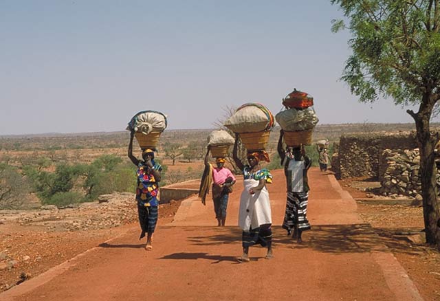 Frauen im Dogonland